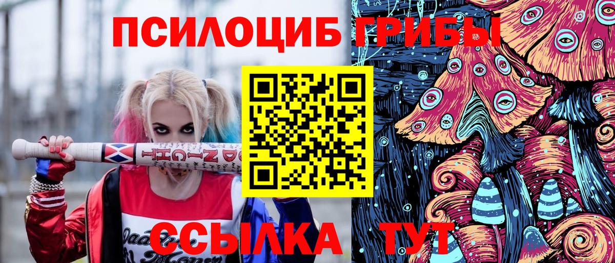 Тула  Галлюциногенные грибы Psilocybine cubensis  Вход с VPN  Галлюциногенные грибы ЛСД 